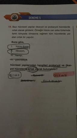 DENEME 5
18. Bazı hücresel yapılar ökaryot ve prokaryot hücrelerde
ortak olarak gözlenir. Örneğin hücre zarı arke türlerinde
farklı kimyada olmasına rağmen tüm hücrelerde yer
alan ortak bir yapıdır.
Buna göre,
1. hücre duvarı
I.
ribozom,
TII. kamçı,
-IV. çekirdekçik
hücresel yapılarından hangileri prokaryot ve ökar-
yot hücrelerde ortak olarak bulunabilir?
A) I ve Il
-ByLove #
C) I, II ve III
D) , live tv
III III ve IV