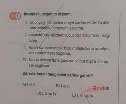 İnsandaki boşaltım sistemi;
I. amonyağın tamamını üreye çevirerek azotlu atık-
ların zehirlilik derecesini azaltma,
II. kandaki üreyi süzerek vücut dışına atılmasını sağ-
lama,
III. kanın sıvı kısmındaki bazı moleküllerin oranları-
nın korunmasını sağlama,
IV. kanda biriken fazla glikozun vücut dışına atılma-
sını sağlama
görevlerinden hangilerini yerine getirir?
A) I ve II
B) I ve III
C) II ve III
D) I, II ve IV
E) I, III ve IV