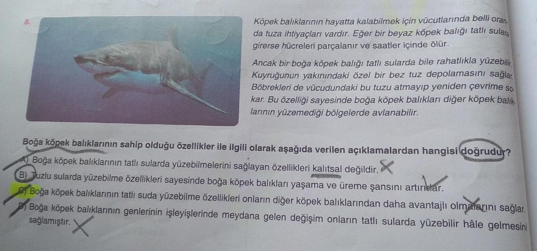 Köpek balıklarının hayatta kalabilmek için vücutlarında belli oran
da tuza ihtiyaçları vardır. Eğer bir beyaz köpek balığı tatlı sulara
girerse hücreleri parçalanır ve saatler içinde ölür.
Ancak bir boğa köpek balığı tatlı sularda bile rahatlıkla yüzebilir