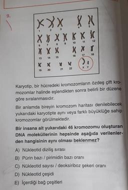 9.
XXX XX
1
XXXXXXXC
11
12
10
67
8
XXX
XX T
16
17 18
13
14 15
X X
),
XY
19
20
21
22
Karyotip, bir hücredeki kromozomların özdeş çift kro-
mozomlar halinde eşlendikten sonra belirli bir düzene
göre sıralanmasıdır.
Bir anlamda bireyin kromozom haritası denilebilecek
yukarıdaki karyotipte aynı veya farklı büyüklüğe sahip
kromozomlar görülmektedir.
Bir insana ait yukarıdaki 46 kromozomu oluşturan
DNA moleküllerinin hepsinde aşağıda verilenler-
den hangisinin aynı olması beklenmez?
A) Nükleotid diziliş sırası
B) Pürin bazı / pirimidin bazı oranı
C) Nükleotid sayısı / deoksiriboz şekeri oranı
D) Nükleotid çeşidi
E) İçerdiği bağ çeşitleri
V