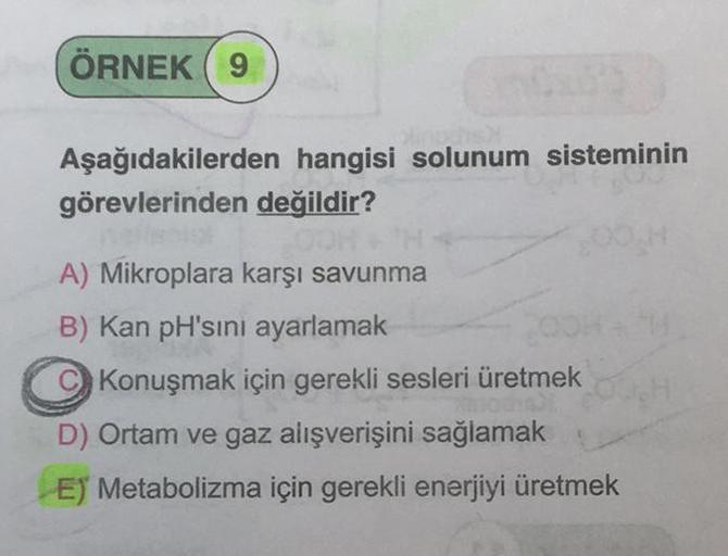 ÖRNEK 9
Aşağıdakilerden hangisi solunum sisteminin
görevlerinden değildir?
A) Mikroplara karşı savunma
B) Kan pH'sını ayarlamak
Konuşmak için gerekli sesleri üretmek
D) Ortam ve gaz alışverişini sağlamak
E) Metabolizma için gerekli enerjiyi üretmek