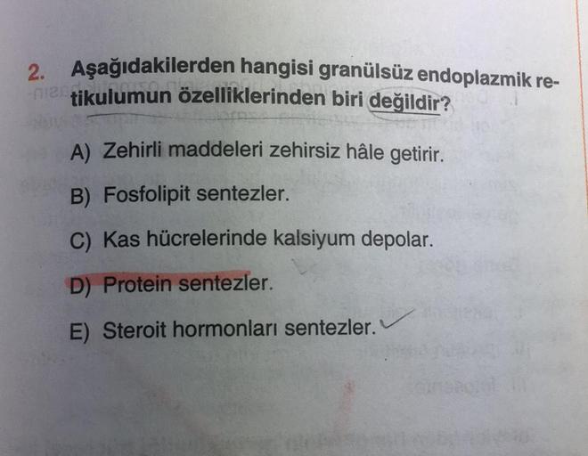 2. Aşağıdakilerden hangisi granülsüz endoplazmik re-
-metikulumun özelliklerinden biri değildir?
A) Zehirli maddeleri zehirsiz hâle getirir.
B) Fosfolipit sentezler.
C) Kas hücrelerinde kalsiyum depolar.
D) Protein sentezler.
E) Steroit hormonları sentezle