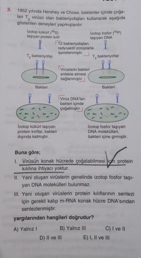 3. 1952 yılında Hershey ve Chose, bakteriler içinde çoğa-
lan T₂ virüsü olan bakteriyofajları kullanarak aşağıda
gösterilen deneyleri yapmışlardır.
2
İzotop kükürt (35S)
taşıyan protein kılıf
İzotop fosfor (32P)
taşıyan DNA
T2 bakteriyofajları
radyoaktif i