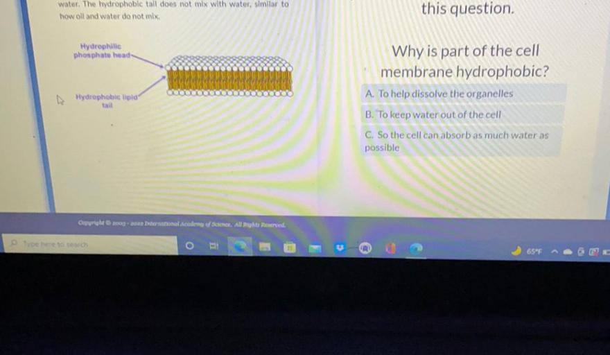 Why is part of the cell membrane hydrophobic?
A) To help dissolve the organelles.
B) To keep water out of the cell.
C) So the cell can absorb as much water as possible.