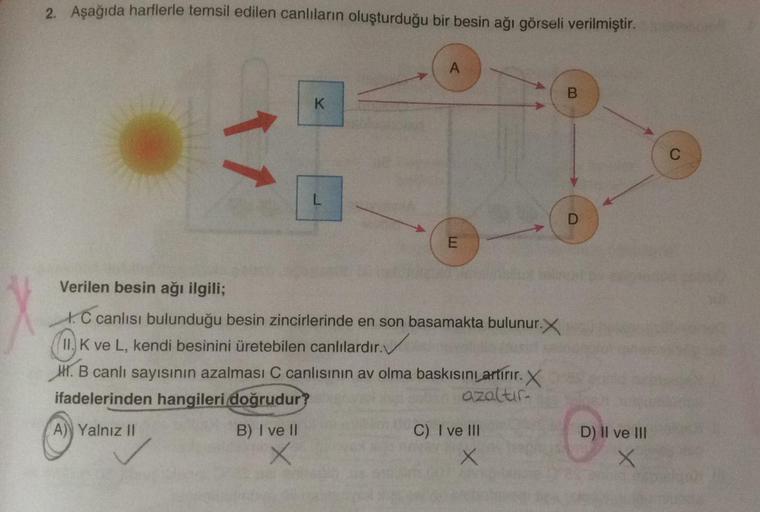 2. Aşağıda harflerle temsil edilen canlıların oluşturduğu bir besin ağı görseli verilmiştir.
A
B
K
1
C
E
Verilen besin ağı ilgili;
1.C canlısı bulunduğu besin zincirlerinde en son basamakta bulunur.
11. K ve L, kendi besinini üretebilen canlılardır.
IX. B