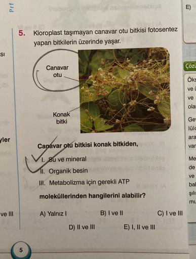 Prf
balans
E)
VOLA
5. Kloroplast taşımayan canavar otu bitkisi fotosentez
yapan bitkilerin üzerinde yaşar.
SI
Çözi
Canavar
otu
Öks
veu
ve
ola
Konak
bitki
Ge
lülg
ara
yler
Canavar otu bitkisi konak bitkiden,
var
Me
de
ve
1. Su ve mineral
be
11. Organik besi