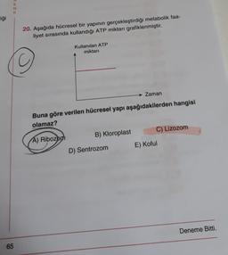 wzx
liği
20. Aşağıda hücresel bir yapının gerçekleştirdiği metabolik faa-
liyet sırasında kullandığı ATP miktarı grafiklenmiştir.
Kullanılan ATP
miktarı
Zaman
Buna göre verilen hücresel yapı aşağıdakilerden hangisi
olamaz?
C) Lizozom
B) Kloroplast
A) Ribozom
E) Koful
D) Sentrozom
Deneme Bitti.
65