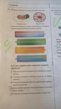 Fen Bilimleri
19. Prokaryot ve ökaryot hücrelere ait şekiller verilmiştir.
20. Insanda ot
M ve mal-
likle ilgili
Sono
v
Prokaryot hücre
Okaryot hücre
Prokaryot hücrelerde olmayan ancak ökaryot hücrelerde
bulunan temel özelliklerden bazıları şunlardır.
M
CO, özümleyip işik enerjisi kullanarak organik
madde sentezini kloroplastlarda yapar.
Buna
zigotla
Hucre bölünmesi sırasında iş ipliklerini üretir.
B
DNA'nın kendini çoğaltması çekirdekte
gerçeklesir
c
VA
ifade
A) Ya
Oksijenli solunum yapan hücrelerde
mitokondri bulunur.
MIRAY YAYINLA
Buna göre, aşağıda verilen yargılardan hangisine
ulaşılamaz?
A) Ökaryot hücrelerde fotosentez için özelleşmiş organel
bulunur.
B) Prokaryot hücrelerde bölünme sırasında iğ iplikleri
oluşmaz.
C) Prokaryot hücrelerde DNA'nın eşlenmesini sağlayan
enzimler bulunmaz.
D) Enerji tüketimi çok olan ökaryot hücrelerde mitokondri
sayısı fazladır.
E) Prokaryot ve ökaryot hücrelerde glikoz sentezi olur.