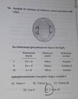 fhavie
18. Aşağıda bir hücreye ait bölünme evresi şematize edil-
miştir.
69
Bu bölünmeyi gerçekleştiren hücre ile ilgili,
Kromozom
sayısı
Bölünme
çeşidi
Bölünme
evresi
1.
2n - 2
Mitoz
Anafaz
2n-4
Anafaz-ll
Mayoz
Mitoz
n2
Anafaz
eşleştirmelerinden hangileri doğru olabilir?
A) Yalnız! B) Yalnızıl
C) Yalnız m
D) I vell
2) I, II ve II
