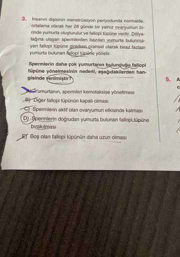 3. İnsanın dişisinin menstruasyon periyodunda normalde,
ortalama olarak her 28 günde bir yalnız ovaryumun bi-
rinde yumurta oluşturulur ve fallopi tüpüne verilir. Dölya-
tağına ulaşan spermlerden bazıları yumurta bulunma-
yan fallopi tüpüne girerken oransa