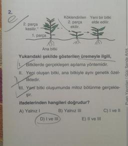 2.
e
Köklendirilen Yeni bir bitki
2. parça
elde edilir.
ekilir.
2. parça
kesilir.“
1. parça
Ana bitki
Yukarıdaki şekilde gösterilen üremeyle ilgili,
1. Bitkilerde gerçekleşen aşılama yöntemidir.
II. Yeni oluşan bitki, ana bitkiyle aynı genetik özel-
liktedir.
.
Puan Yayınları Güc Sende Artik
III. Yeni bitki oluşumunda mitoz bölünme gerçekle-
şir.
ifadelerinden hangileri doğrudur?
A) Yalnız! B) Yalnız III
C) I ve 11
D) I ve III
E) II ve III