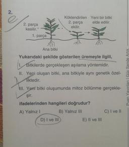 2.
e
Köklendirilen Yeni bir bitki
2. parça
elde edilir.
ekilir.
2. parça
kesilir.“
1. parça
Ana bitki
Yukarıdaki şekilde gösterilen üremeyle ilgili,
1. Bitkilerde gerçekleşen aşılama yöntemidir.
II. Yeni oluşan bitki, ana bitkiyle aynı genetik özel-
liktedir.
.
Puan Yayınları Güc Sende Artik
III. Yeni bitki oluşumunda mitoz bölünme gerçekle-
şir.
ifadelerinden hangileri doğrudur?
A) Yalnız! B) Yalnız III
C) I ve 11
D) I ve III
E) II ve III
