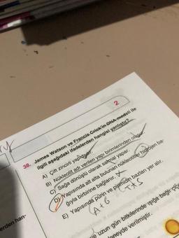 2
y
38. James Watson ve Francis Crick'in DNA modeli ile
ilgili aşağıdaki ifadelerden hangisi yanlıştır?
A) Çift zincirli yapıdadır.
B) Nükleotit adı verilen yapı birimlerinden oluşur.
C) Sağa dönüşlü olarak salmal yapar.
D) Yapısında alt alta bulunan nükleotitler hidrojen ba-
ğıyla birbirine bağlanır.
E) Yapısında pürin ve pirimidin bazları yer alır.
TAS
At 6
erden han-
ve uzun gün bitkilerinde işığa bağlı çiçe
oneyde verilmiştir.
