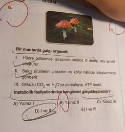 HOCAM
6.
TY
Bir mantarda golgi organeli;
1. Hücre bölünmesi sırasında selüloz lif üretip, ara lameli
oluşturur.
II. Salgi ürünlerini paketler ve koful hâlinde sitoplazmaya
gonderir
.
III. Glikozu Co, ve H2O'ya parçalayıp, ATP üretir.
metabolik faaliyetlerinden hangilerini gerçekleştirebilir?
B) Yalnız 11
A) Yalnız!
D) I ve II
C) Yalnız 111
E) I ve III
