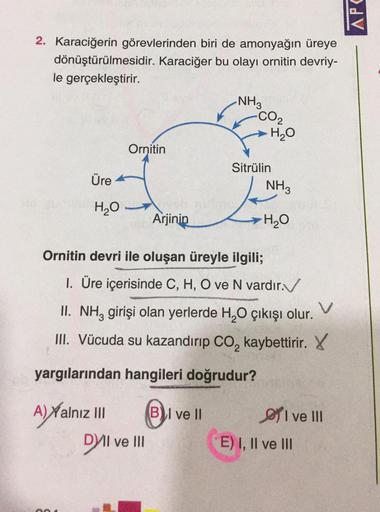 APC
2. Karaciğerin görevlerinden biri de amonyağın üreye
dönüştürülmesidir. Karaciğer bu olayı ornitin devriy-
le gerçekleştirir.
NH3
-CO2
H2O
Ornitin
Sitrulin
Üre
NH3
H2O
Arjinin
H2O
La
Ornitin devri ile oluşan üreyle ilgili;
1. Üre içerisinde C, H, O ve 