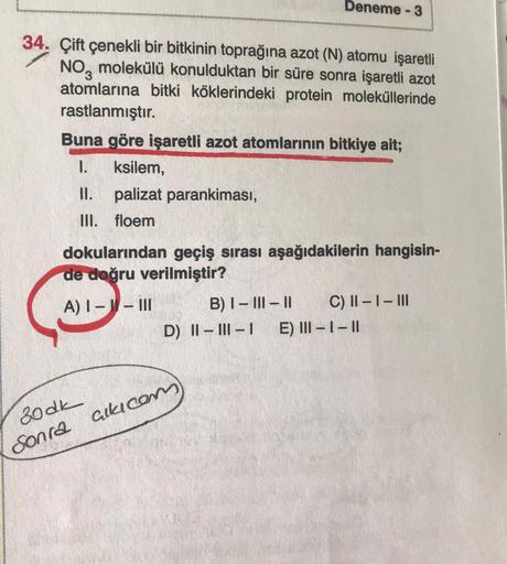 Deneme - 3
34. Çift çenekli bir bitkinin toprağına azot (N) atomu işaretli
NO, molekülü konulduktan bir süre sonra işaretli azot
atomlarına bitki köklerindeki protein moleküllerinde
rastlanmıştır.
Buna göre işaretli azot atomlarının bitkiye ait;
1. ksilem,