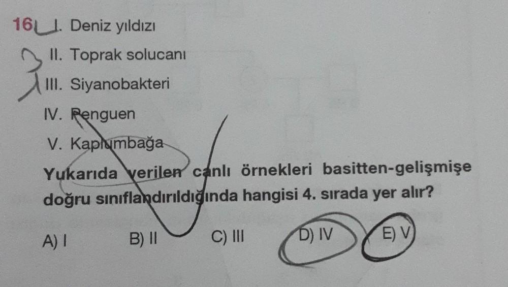 16. Deniz yıldızı
II. Toprak solucanı
III. Siyanobakteri
IV. Penguen
V. Kaplumbağa
Yukarıda verilen canlı örnekleri basitten-gelişmişe
doğru sınıflandırıldığında hangisi 4. sırada yer alır?
A) I
B) II
C) IU
DIV
E) V