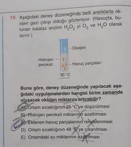19. Aşağıdaki deney düzeneğinde belli aralıklarla ok-
sijen gazı çıkışı olduğu gözleniyor. (Havuçta, bu-
lunan katalaz enzimi H2O2 yi Ove H2O olarak
ayırır.)
2
Oksijen
Hidrojen
peroksit
Havuç parçaları
30 °C
Buna göre, deney düzeneğinde yapılacak aşa-
ğıdaki uygulamalardan hangisi birim zamanda
oluşacak oksijen miktarını artırabilir?
Av Ortam sıcaklığının 25 °C'ye düşürülmesi
B) Hidrojen peroksit miktarının azaltılması
P) Eklenen havuç parçalarının rendelenmesi
D) Ortam sıcaklığının 48 °C'ye çıkarılması
E) Ortamdaki su miktarının azaltılması