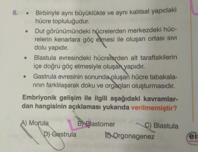 .
Birbiriyle aynı büyüklükte ve aynı kalıtsal yapıdaki
hücre topluluğudur.
Dut görünümündeki hücrelerden merkezdeki hüc-
relerin kenarlara göç etmesi ile oluşan ortası SIVI
dolu yapıdır.
Blastula evresindeki hücrelerden alt taraftakilerin
içe doğru göç etm