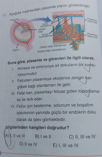 10. Aşağıda insanlardaki plasenta yapisi gösterilmiştir.
Plasenta
Plasentar
anne taral
Anne
atardamari
Göbek
bağı
Anne
toplardamar
Plasentanın
fetus taraf
Rahim
Göbek bağı atardamarı
Göbek bağı toplardamarı
Buna göre, plasenta ve görevleri ile ilgili olara