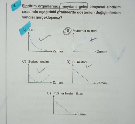Sindirim organlarında meydana gelen kimyasal sindirim
sırasında aşağıdaki grafiklerde gösterilen değişimlerden
hangisi gerçekleşmez?
A) ATP
B Monomer miktarı
→ Zaman
→ Zaman
C) Serbest enzim
D) Su miktarı
→ Zaman
Zaman
E) Polimer besin miktarı
Zaman