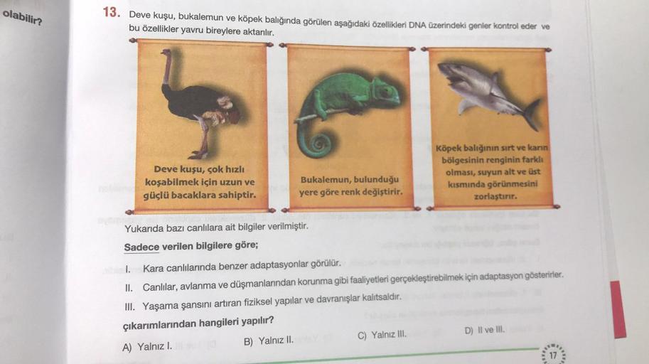 olabilir?
13. Deve kuşu, bukalemun ve köpek balığında görülen aşağıdaki özellikleri DNA üzerindeki genler kontrol eder ve
bu özellikler yavru bireylere aktarılır.
Deve kuşu, çok hızlı
koşabilmek için uzun ve
güçlü bacaklara sahiptir.
Köpek balığının sırt v