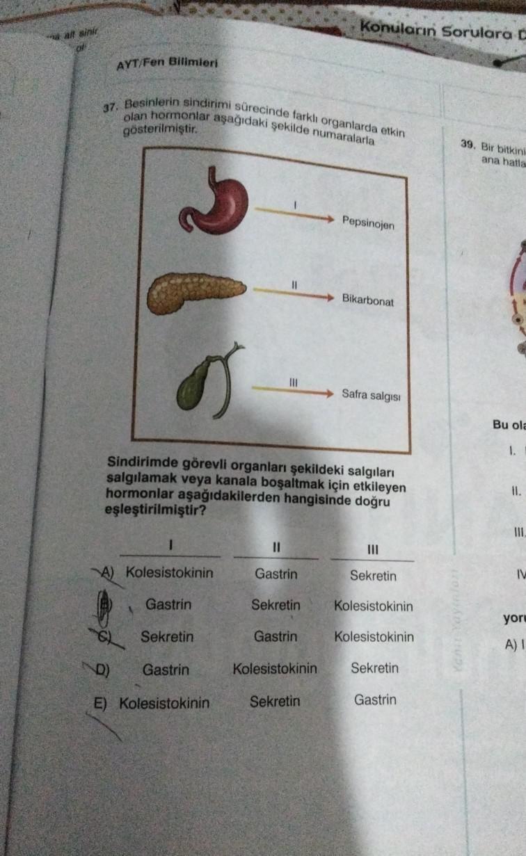 Konuların Sorulara C
af sin
or
AYT/Fen Bilimleri
37. Besinlerin sindirimi sürecinde farkl organlarda etkin
olan hormonlar aşağıdaki şekilde numaralarla
gösterilmiştir.
39. Bir bitkini
ana hatia
Pepsinojen
11
Bikarbonat
III
Safra salgs:
Bu ola
1.
Sindirimde