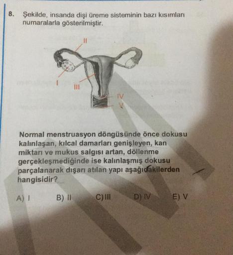 8.
Şekilde, insanda dişi üreme sisteminin bazı kısımları
numaralarla gösterilmiştir.
11
IV
Normal menstruasyon döngüsünde önce dokusu
kalınlaşan, kılcal damarları genişleyen, kan
miktarı ve mukus salgısı artan, döllenme
gerçekleşmediğinde ise kalınlaşmış d