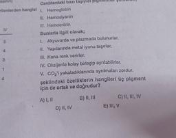 5
esinin
Canlılardaki bazı taşıyıcı bi
rilenlerden hangisi 1. Hemoglobin
II. Hemosiyanin
HI!. Hemoeritrin
IV
Bunlarla ilgili olarak;
1. Akyuvarda ve plazmada bulunurlar.
II. Yapılarında metal iyonu taşırlar.
III. Kana renk verirler.
IV. Oksijenle kolay birleşip ayrılabilirler.
1
V. COz'i yakaladıklarında ayrılmaları zordur.
şeklindeki özelliklerin hangileri üç pigment
için de ortak ve doğrudur?
4
3
4
A) I, 11
B) II, III
C) II, III, IV
E) III, V
D) II, IV
