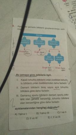 c
Organik
Inorgar
besin madde
hele
ker
Bu deney
kanıt olus
Vire
BY
2.
Aşaaki şemada bitkilerin gruplandırılması veril-
mis
Bitkiler
emer
humsuz
Dam
tohumsuz
Damar
tohumlu
9
Örnek Kara
yosunu
Omek: Egrelti
otu
AÇIK
tohumlu
Kapali
Tohumlu
S
Ömek: Çam
agaci
Omek Kayisi
agaci
Bu şemaya göre; bitkilerle ilgili,
I. Kapalı tohumlu bitkilerin ortak özellikleri tohum-
lu bitkilerin ortak özelliklerinden daha fazladır.
II. Damarli bitkilerin birey sayısı açık tohumlu
bitkilere göre daha fazladır.
III. Damarsız sporlu bitkilerin damarli sporlu bitki-
lere olan genetik benzerliği, tohumlu bitkilere
olan benzerliğine göre daha fazladır.
2
açıklamalarından hangileri
doğrudur?
A) Yalniz ! B) Yalnız III C) I ve II
D) Il ve III E) I, II ve III
