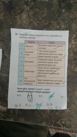 16. Aşağıdaki tabloda organeller ve bu organellere ait
özellikler verilmiştir.
Organel
Özellik
Enzimlerin apoenzim kısmını
1 Ribozom
sentezler
Tatlı sularda yaşayan
Kontraktil
2
bakterilerde fazla suyu dışarı
Koful
atarak hemolizi engeller.
Fotosentez yapan ökaryotik
3 Kloroplast canlılarda organik besin
sentezinde görev alır.
Hücre zarinin özgüllüğünü
4 Golgi Aygiti
sağlayan glikolipit ve
glikoproteinin sentezinde
görev alır.
Düz
Kasın kasılabilmesi için kasta
5 Endoplazmik
kalsiyum deposunu sağlar.
Retikulum
Buna göre, yapılan "organel - özellik"
eşleştirmelerinden hangisi yanlıştır?
A) 5
C) 3
ope
D) 2
E) 1
AB AC AD AA
no BC
