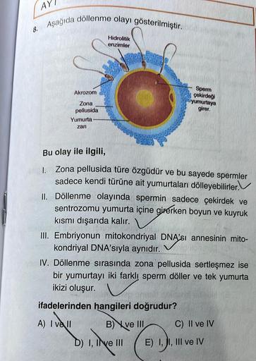 AY
Aşağıda döllenme olayı gösterilmiştir.
Hidrolitik
enzimler
8.
Akrozom
Sperm
çekirdeği
yumurtaya
girer.
Zona
pellusida
Yumurta
zan
Bu olay ile ilgili,
1. Zona pellusida türe özgüdür ve bu sayede spermler
sadece kendi türüne ait yumurtaları dölleyebilirle