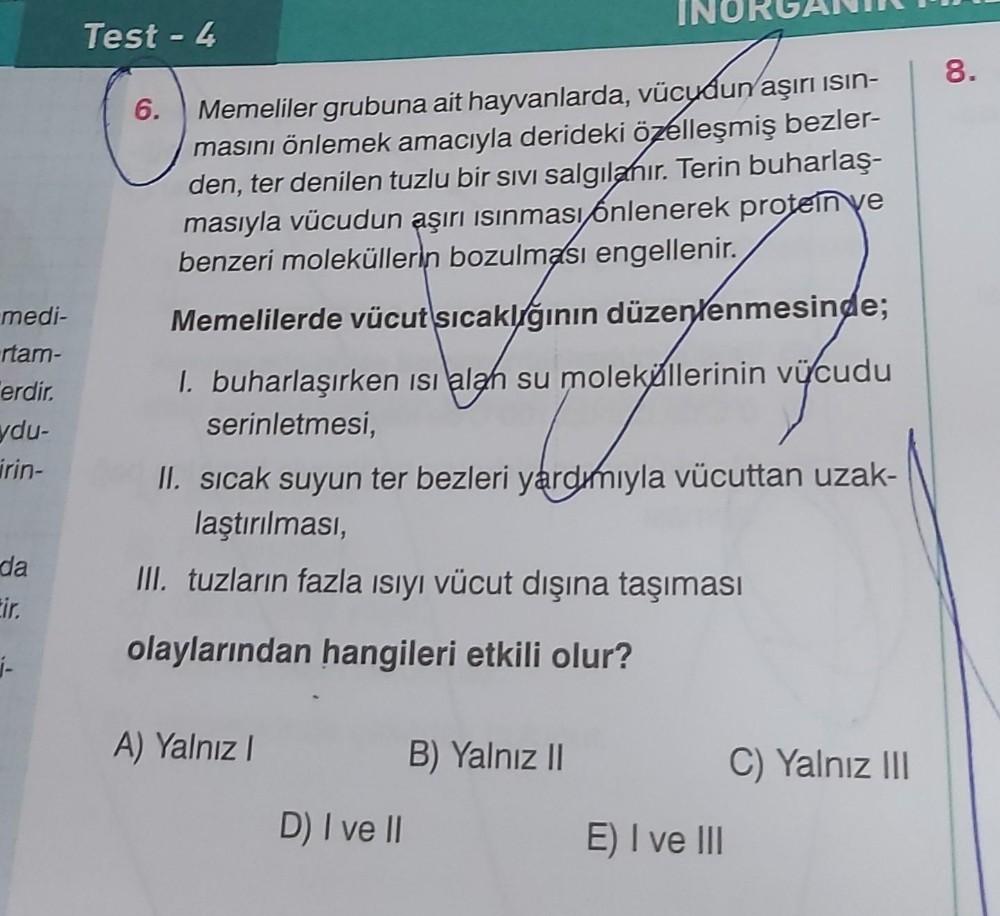 Test 4 8 6 Memeliler Grubuna Ait Hayvanlarda V Biyoloji