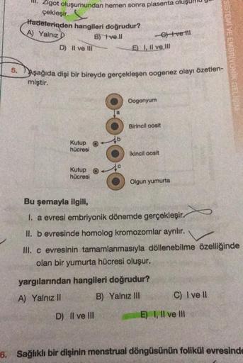 Zigot oluşumundan hemen sonra plasenta oluş
çekleşir.
ifadelerinden hangileri doğrudur?
A) Yalnız D
B) Tvell
D) Il ve III
Gtveti
El I, II ve III
S STEMİYE ELBRIVONIK A
SAşağıda dişi bir bireyde gerçekleşen oogenez olayı özetlen-
miştir.
Oogonyum
Birincil o