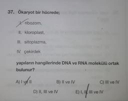 37. Ökaryot bir hücrede;
V. ribozom,
II. kloroplast,
III. sitoplazma,
IV. çekirdek
yapıların hangilerinde DNA ve RNA molekülü ortak
bulunur?
A) I ve II
)
B) Il ve IV
C) III ve IV
D) II, III ve IV
e inven
E) I, I, III ve IV
