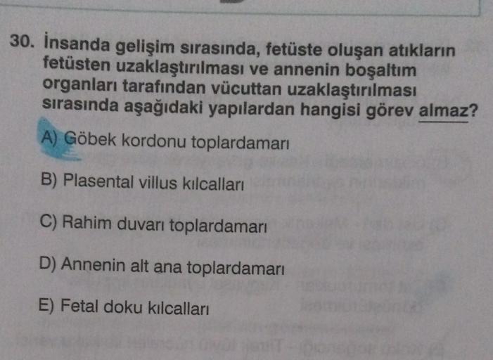 30. İnsanda gelişim sırasında, fetüste oluşan atıkların
fetüsten uzaklaştırılması ve annenin boşaltım
organları tarafından vücuttan uzaklaştırılması
sırasında aşağıdaki yapılardan hangisi görev almaz?
A) Göbek kordonu toplardamarı
B) Plasental villus kilca