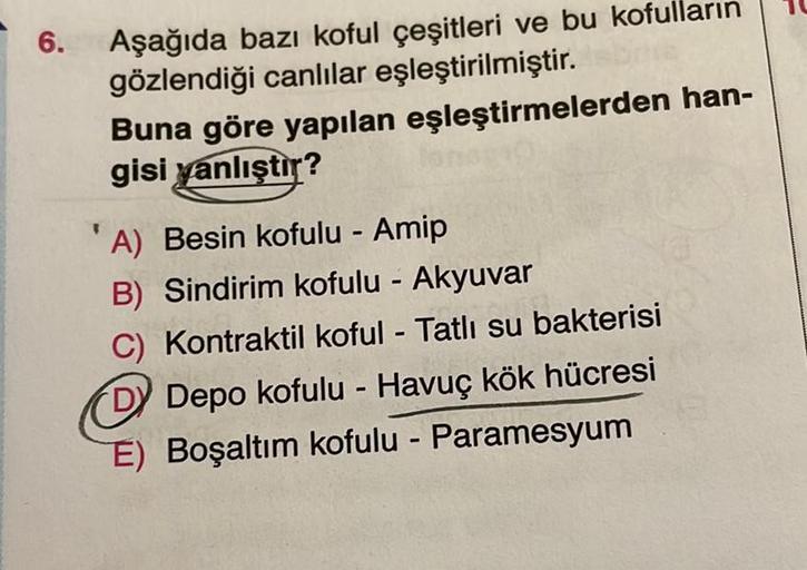 6.
-
Aşağıda bazı koful çeşitleri ve bu kofulların
gözlendiği canlılar eşleştirilmiştir.
Buna göre yapılan eşleştirmelerden han-
gisi yanlıştır?
"A) Besin kofulu - Amip
B) Sindirim kofulu - Akyuvar
C) Kontraktil koful - Tatlı su bakterisi
D Depo kofulu - H