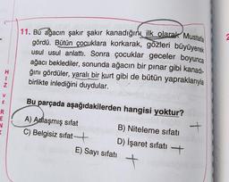 2
11. Bu ağacın şakır şakır kanadığını ilk olarak Mustafa
gördü. Bütün çocuklara korkarak, gözleri büyüyerek
usul usul anlattı. Sonra çocuklar geceler boyunca
ağacı beklediler, sonunda ağacın bir pinar gibi kanadi-
ğını gördüler, yaralı bir kurt gibi de bütün yapraklarıyla
birlikte inlediğini duydular.
H
I
Z
V
m
Bu parçada aşağıdakilerden hangisi yoktur?
R
E
V
A) Adlaşmış sifat
B) Niteleme sıfatı
C) Belgisiz sifat-7
E) Sayı sıfatı
+
D) İşaret sifati +
+