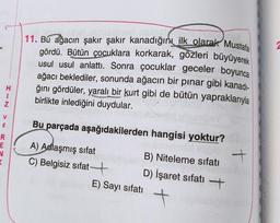 2
11. Bu ağacın şakır şakır kanadığını ilk olarak Mustafa
gördü. Bütün çocuklara korkarak, gözleri büyüyerek
usul usul anlattı. Sonra çocuklar geceler boyunca
ağacı beklediler, sonunda ağacın bir pinar gibi kanadi-
ğını gördüler, yaralı bir kurt gibi de bütün yapraklarıyla
birlikte inlediğini duydular.
H
I
Z
V
m
Bu parçada aşağıdakilerden hangisi yoktur?
R
E
V
A) Adlaşmış sifat
B) Niteleme sıfatı
C) Belgisiz sifat-7
E) Sayı sıfatı
+
D) İşaret sifati +
+
