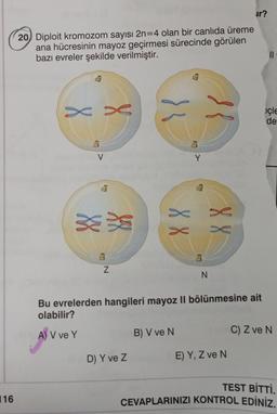ar?
20 Diploit kromozom sayısı 2n=4 olan bir canlıda üreme
ana hücresinin mayoz geçirmesi sürecinde görülen
bazı evreler şekilde verilmiştir.
xe
Çle
de
V
Y
ss
8X
X X
NG
N
Bu evrelerden hangileri mayoz Il bölünmesine ait
olabilir?
A) V ve Y
B) V ve N
C) Z ve N
D) Y ve Z
E) Y, Z ve N
TEST BİTTİ.
CEVAPLARINIZI KONTROL EDİNİZ.
116
