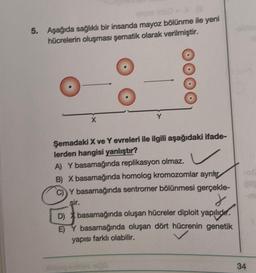 5. Aşağıda sağlıklı bir insanda mayoz bölünme ile yeni
hücrelerin oluşması şematik olarak verilmiştir.
Y
X
Şemadaki X ve Y evreleri ile ilgili aşağıdaki ifade-
lerden hangisi yanlıştır?
A) Y basamağında replikasyon olmaz.
B) X basamağında homolog kromozomlar ayrılr
Y basamağında sentromer bölünmesi gerçekle-
sir.
X
D) basarnağında oluşan hücreler diploit yapılıdır.
E) Y basamağında oluşan dört hücrenin genetik
yapısı farklı olabilir.
34