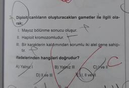 31 Diploit canlıların oluşturacakları gametler ile ilgili ola-
rak;
1. Mayoz bölünme sonucu oluşur.
IL Haploit kromozomludur.
III. Bir karakterin kalıtımından sorumlu iki alel gene sahip-
tir.
ifadelerinden hangileri doğrudur?
A) Yalnızl
B) Yalnız III
C) Well
ENI, II ve
D) II ve III