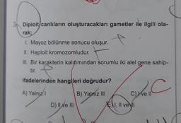 31 Diploit canlıların oluşturacakları gametler ile ilgili ola-
rak;
1. Mayoz bölünme sonucu oluşur.
IL Haploit kromozomludur.
III. Bir karakterin kalıtımından sorumlu iki alel gene sahip-
tir.
ifadelerinden hangileri doğrudur?
A) Yalnızl
B) Yalnız III
C) Well
ENI, II ve
D) II ve III
