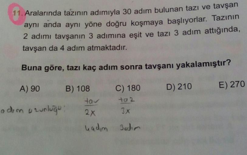 11. Aralarında tazının adımıyla 30 adım bulunan tazı ve tavşan
aynı anda aynı yöne doğru koşmaya başlıyorlar. Tazının
2 adımı tavşanın 3 adımına eşit ve tazı 3 adım attığında,
tavşan da 4 adım atmaktadır.
Buna göre, tazı kaç adım sonra tavşanı yakalamıştır