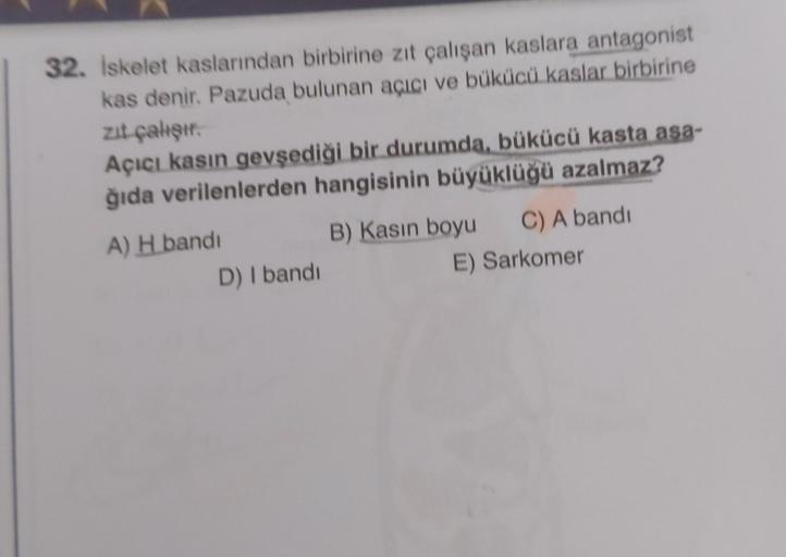 32. Iskelet kaslarından birbirine zit çalışan kaslara antagonist
kas denir. Pazuda bulunan açıcı ve bükücü kaslar birbirine
zit çalışır.
Açıcı kasın gevşediği bir durumda, bükücü kasta asa-
ğıda verilenlerden hangisinin büyüklüğü azalmaz?
A) H bandi
B) Kas