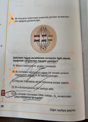 16. Bir hücrenin bölünmesi sırasında görülen evrelerden
biri aşağıda gösterilmiştir.
ell
chan9.01
Şekildeki hücre ve bölünme evresiyle ilgili olarak,
aşağıdaki yargilardan hangisi yanlıştır?
A) Mayoz bölünmenin anafaz l evresidir.
B) Bu evredeki kromozom s