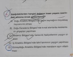 6. Aşağıdakilerden hangisi doğanın insan yaşamı üzerin-
deki etkisine örnek gösterilemez?
A Doğu Anadolu Bölgesi'nde geçim kaynağının büyükbaş
hayvancılık olması
B) Doğu Karadeniz Bölgesi'nde kırsal alanlarda meskenle-
rin ahşaptan yapılması
Akdeniz Bölgesi'nde seracılık faaliyetlerinin yaygın ol-
ması
D) İç Anadolu Bölgesi'nde tahil tarımının yaygın yapılması
E)) Güneydoğu Anadolu Bölgesi'nde meraların aşırı otlatil-
masi
