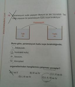 16. Paramesyum suda yaşayan ökaryot bir tek hücrelidir. Tatli
suda yaşayan bir paramesyum tuzlu suya bırakılıyor.
www.krakademi.com
Paramesyum
Tatli
su
Tuzlu
su
Buna göre, paramesyum tuzlu suya bırakıldığında;
I. mitokondri,
II. kontraktil koful,
III. lizozom,
IV. kloroplast
organellerinden hangilerinin çalışması yavaşlar?
Axivel
NI ve II
B) III ve IV
D) I, III ve IV
C) 1, Il ve III
E) I, II, III ve IV