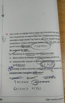 endemik
16. Aşırı sıcak ve soğuğa maruz kalan deri hücrelerinde yanık.
ların oluşmasına ve yapısındaki bazı sindirim enzimlerinin
eksikliğine bağlı olarak Tay-Sachs gibi sinir sistemi ile ilgili
hastalıkların ortaya çıkmasına neden olan tek katli zarla
çevrili hücre otganelidir. 152090m
Bu organel ile ilgili;
Bozulmuş ve yaşlanmış organelleri yok eder,
II. Besin kofulu ile birleşip sindirim kofulunu oluşturur,
III. Gelişmiş bitki, hayvan ve bakteri hücrelerinde bol mik
tarda bulunur,
elhus )
Ürettiği sindirim enzimleri sayesinde otolize neden olur
yargılarından hangileri doğrudur?
A) Yalnız? B) Ive IT C) 1, I ve III
D) I, II ve IV EL, H, hit ve tv
Gelişmir bitter
30
Diğer sayfaya geçiniz
