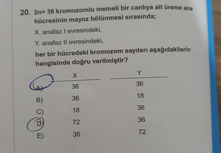 20. 2n= 36 kromozomlu memeli bir canlıya ait üreme ana
hücresinin mayoz bölünmesi sırasında;
X. anafaz levresindeki,
Y. anafaz ll evresindeki,
her bir hücredeki kromozom sayıları aşağıdakilerin
hangisinde doğru verilmiştir?
Y
x
CA
36
36
36
B)
18
18
36
36
D